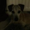 berylsdaddy's profile picture