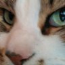 Profilbild von Siôn