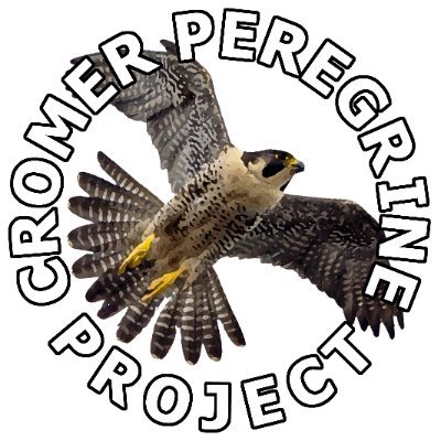 CromerPeregrine's profile picture