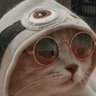 ConnieHepo profil fotoğrafı