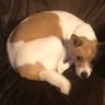 ko's profile picture