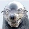 Seal profil fotoğrafı