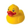 Canard Joyeux profil fotoğrafı