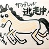 とりっぴー 的头像