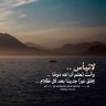 ابو ناصر profil fotoğrafı