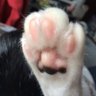 Profilbild von ãã£ãã¯ã