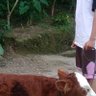 Profilbild von Pendodol Omongan