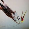 NARAKENCH01200's profile picture
