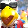Big Beak Pete 🦅 的头像