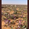 Фото профиля فزاااع