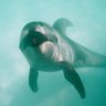 apnea3 profil fotoğrafı