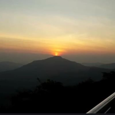 nic36642102's profile picture