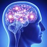 Mindfull 的头像