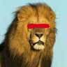 🦁 Der nette Löwe von nebenan's profile picture