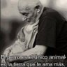 Francisco Ruiz Tamayo profil fotoğrafı
