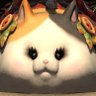 Profilbild von TailsFiraga (MAGFest-bound)