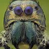 Profilbild von Mkamkamka