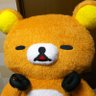 Фото профиля yonekkuma