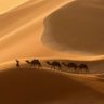 Hamdan Khan's profile picture