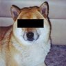 🤖ticef(black kray fan account)🗿 profil fotoğrafı