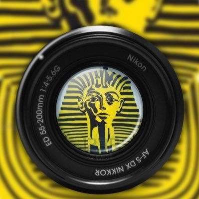 Pharao444's profile picture