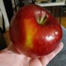 Profilbild von Cosmic Crisp 🍎