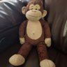Owen the Monkey 🐵's profile picture