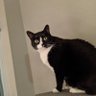 EarlSwiggins's profile picture