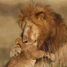 அறம் பெருகட்டும் profil fotoğrafı