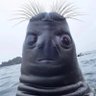 Profilbild von BigCristo