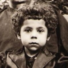 MohammadMaj1's profile picture