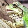 Фото профиля はらペコ
