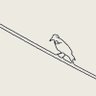 歩道 ポイ活中's profile picture