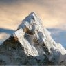 Everest's profile picture