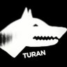 turkceyedair 的头像