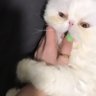 Annieno92 的头像