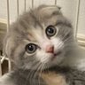 なかしょう 的头像