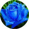 M.Q 💙's profile picture