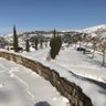 Pilar profil fotoğrafı