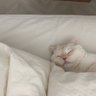 ✿ profil fotoğrafı