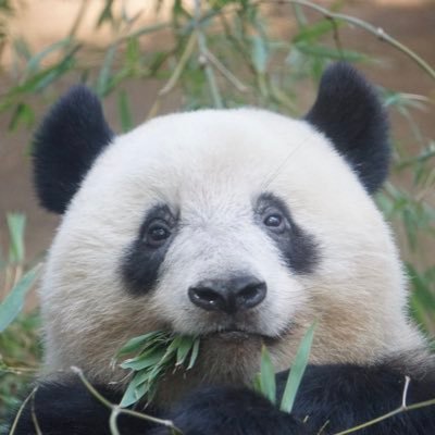 S8eSNkrLZl9hGUc's profile picture