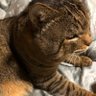 すぅ profil fotoğrafı