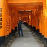 Alber. アルベルト 的头像