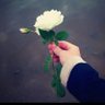 sham 🌸's profile picture