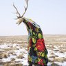 Cassius Marcellus Elk 的头像