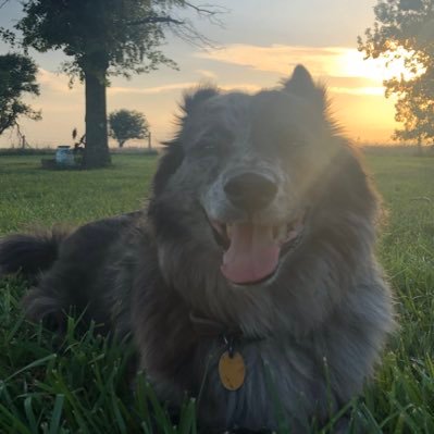 8inchtop's profile picture