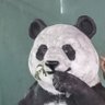 shinharu1029's profile picture