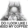 Shelly's profile picture