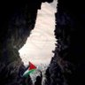 Profilbild von سكلفنسو🇸🇾