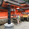 たにきゅう 的头像
